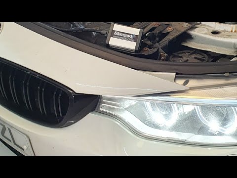 More information about "Video: 1 Month Overview Of My Bluespark Tuning Box On My BMW F32 4 Series"